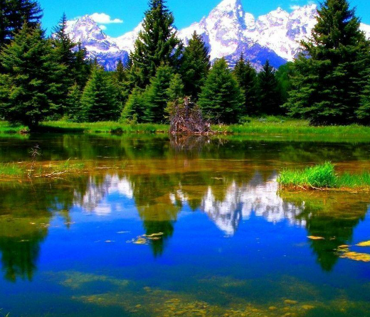 Test 10